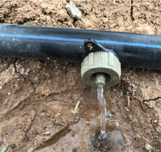 果树滴灌稳流器介绍