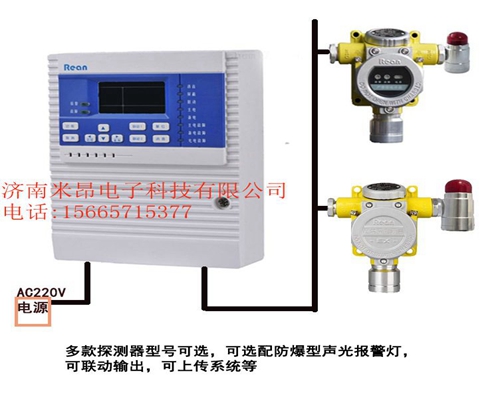 天然气报警器 适用于加油站厨房等存在天然气场所