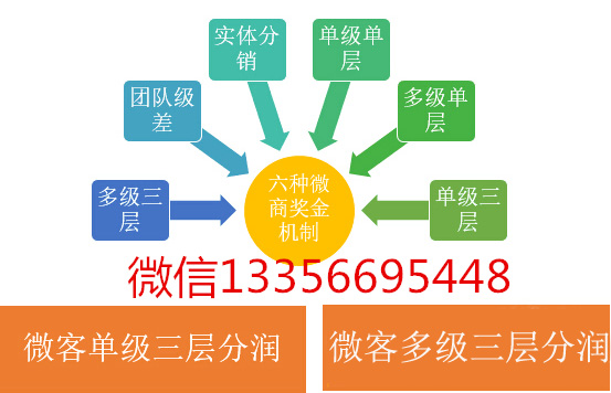 江苏双轨直销软件开发 双轨制直销系统