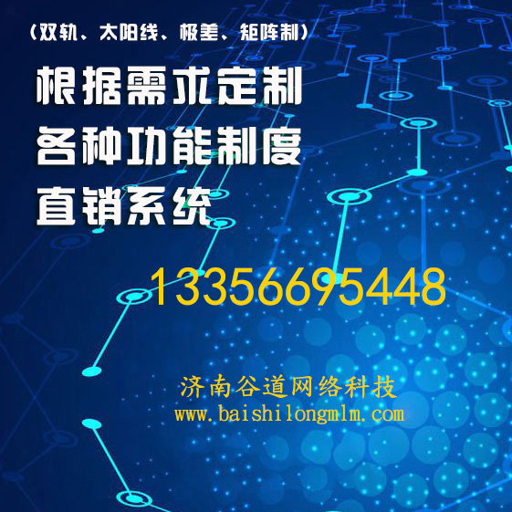 南京专业直销软件开发 双轨制系统定制公司哪家好