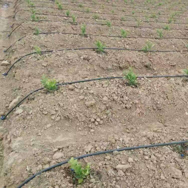 吊懸微噴構成簡介
