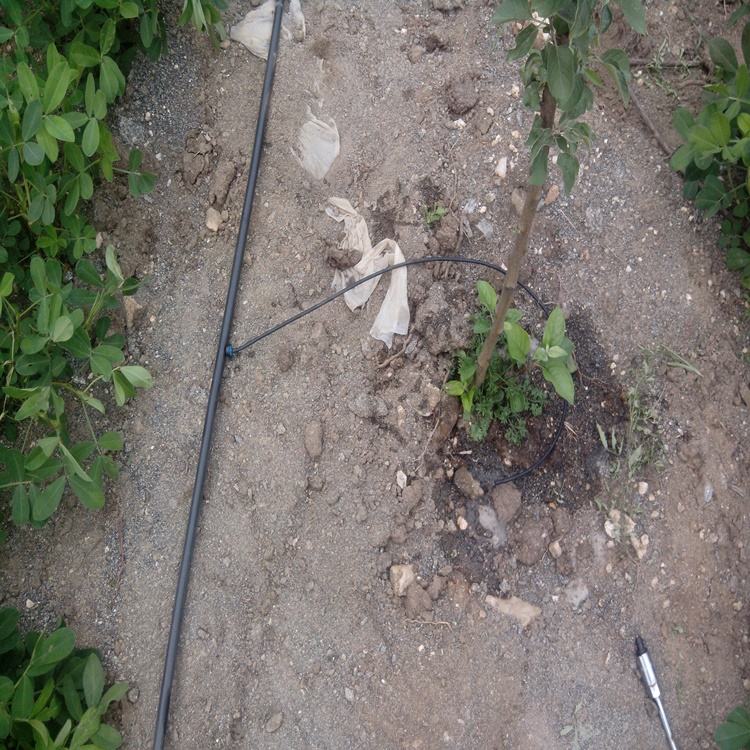 地插微噴構成簡介