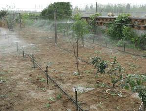 适合农作物灌溉的微喷系统