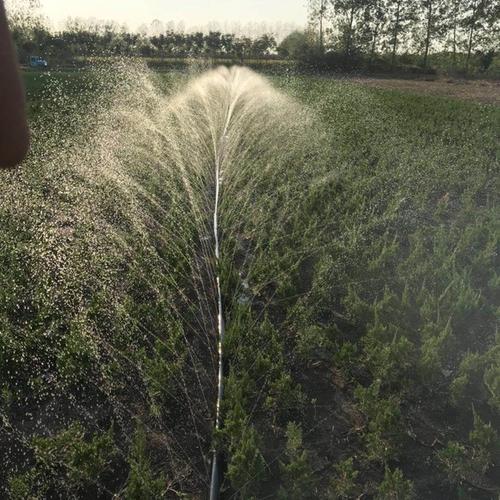 滴灌管灌溉的好處