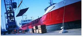 海运国际货代品牌就选天鸣国际国际进出口贸易，成就上海进口报