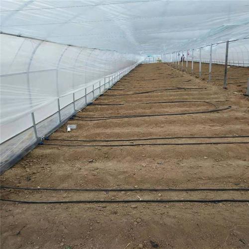 常用噴灌的系統類型及特點