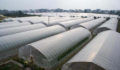 蔬菜大棚建造方式/蔬菜大棚承建/蔬菜大棚