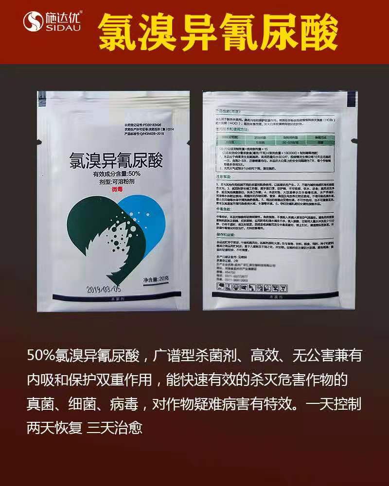 果树瓜果角斑病的危害氯溴异氰尿酸真菌细菌通杀厂家批发