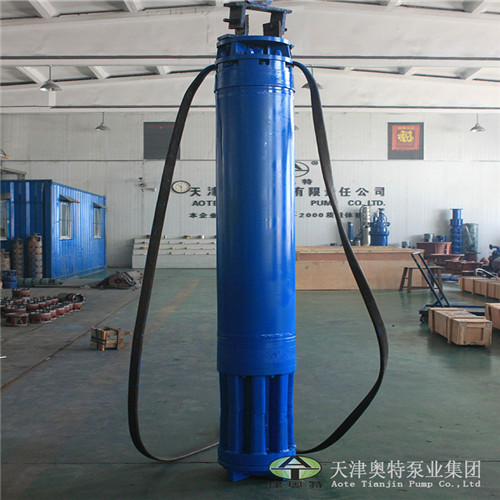 3KV_6KV潜水电机_耐用_耐磨损_高转速-奥特泵业
