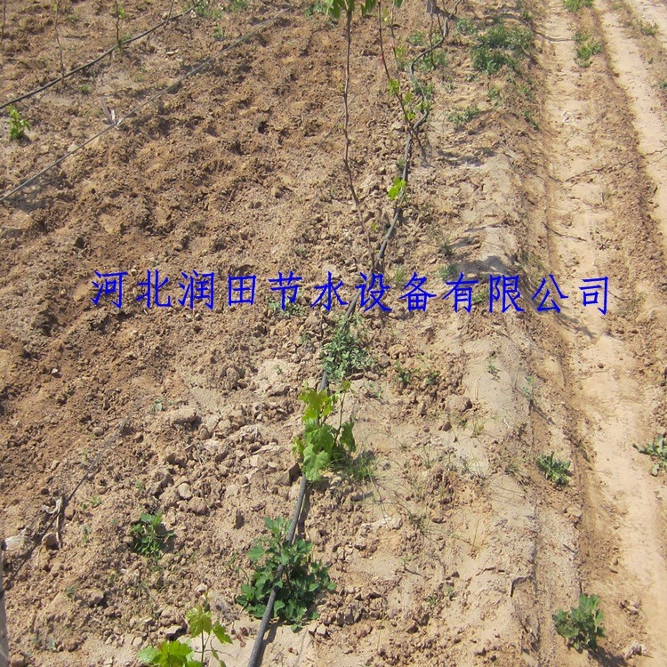 农田节水灌溉滴灌管网式过滤器