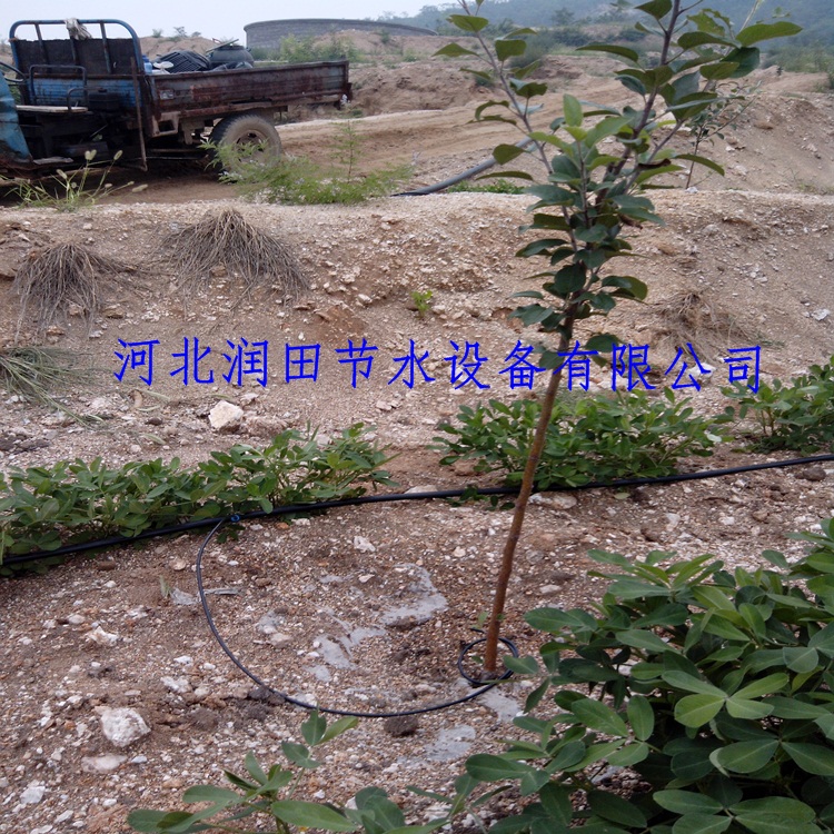 果园灌溉小管出流