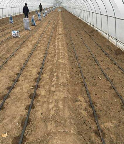 河北农业灌溉设备维护方法