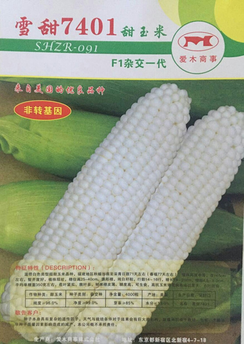 水果玉米种子雪甜7401