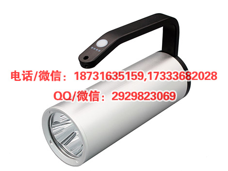 手提式防爆应急灯,防雨防爆照明灯防雨防爆手持照明灯