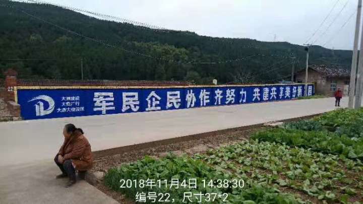 好丽友济南墙体乡镇广告解放农村市场低欲望