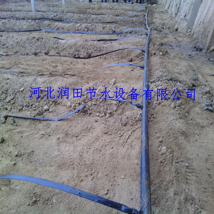 农田灌溉PE软管河北灌溉滴灌带