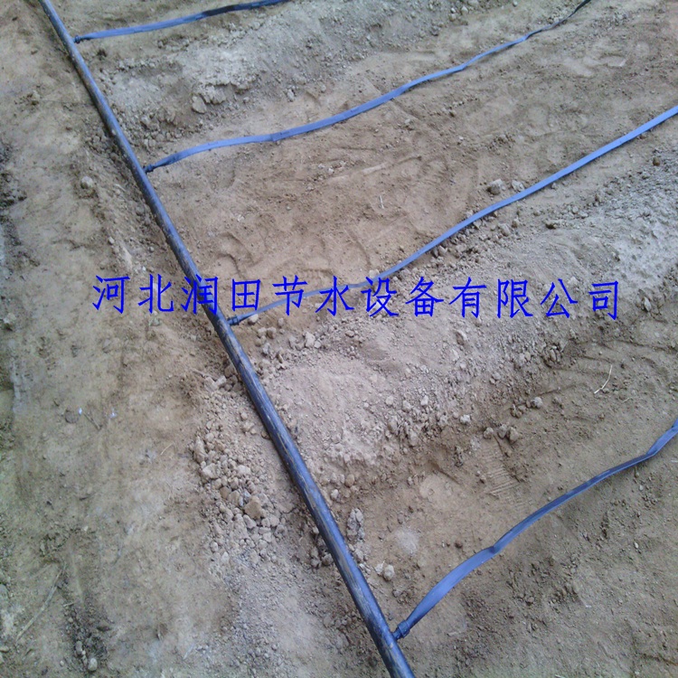 重庆单位交通车,重庆商务接待用车,包车就找【典信】