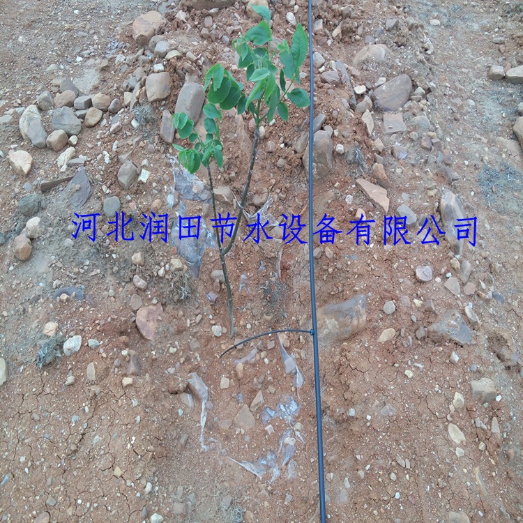 河南驻马店果园灌溉小管出流滴灌滴头
