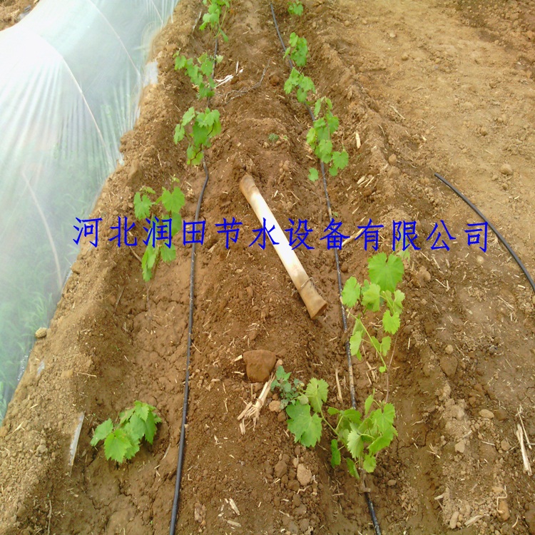 农田滴灌系统灌溉滴灌管滴灌材料