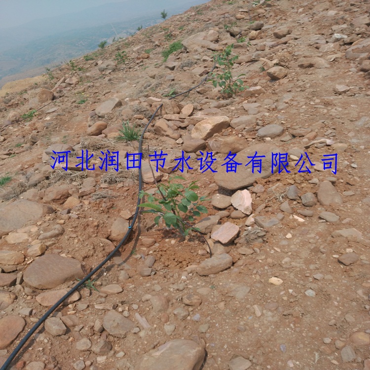 果树滴灌小管出流农田灌溉稳流器
