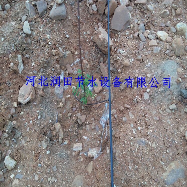 果树滴灌小管出流灌溉滴头稳流器