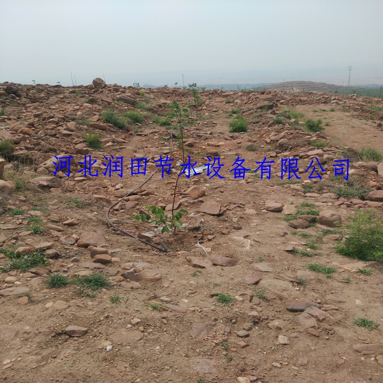 果园灌溉小管出流滴灌PE管材