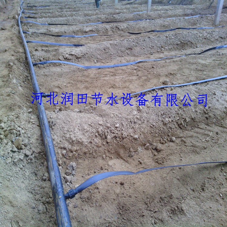 石家庄蔬菜节水灌溉滴灌带滴灌材料