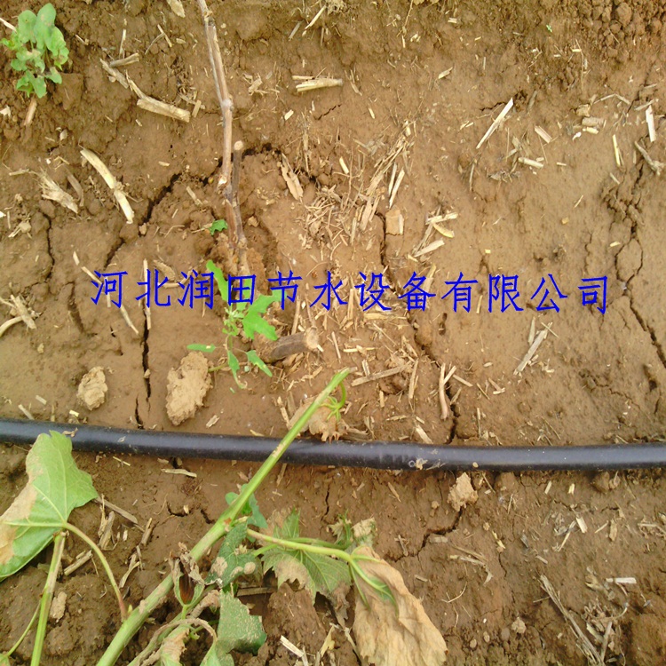 温室大棚蔬菜灌溉用滴灌管