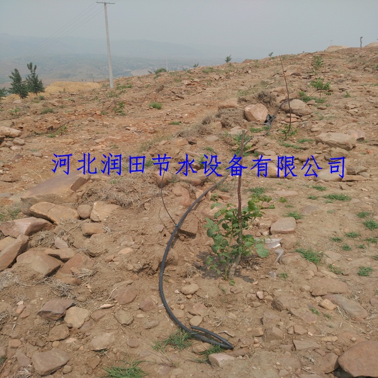 坡地滴灌管网布置