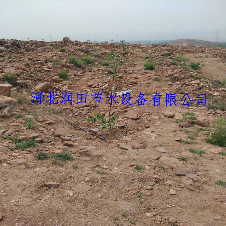 滴灌灌区划分