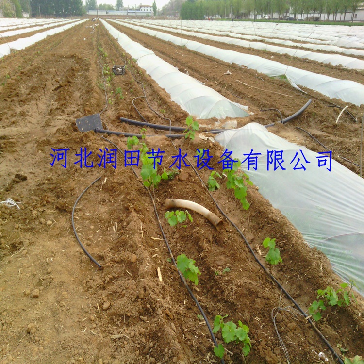 滴灌管微滴灌系统安装及使用
