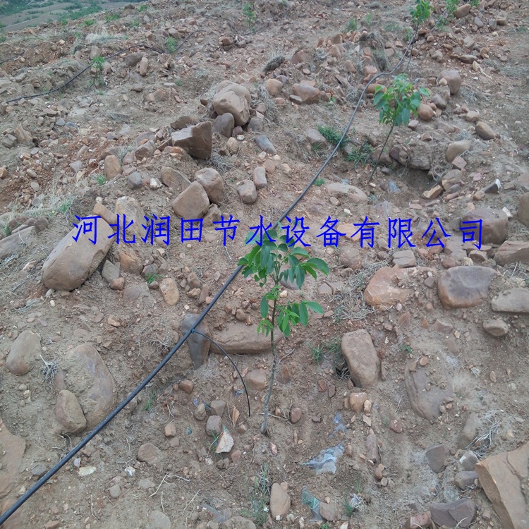 滴灌系统组成及各部分作用