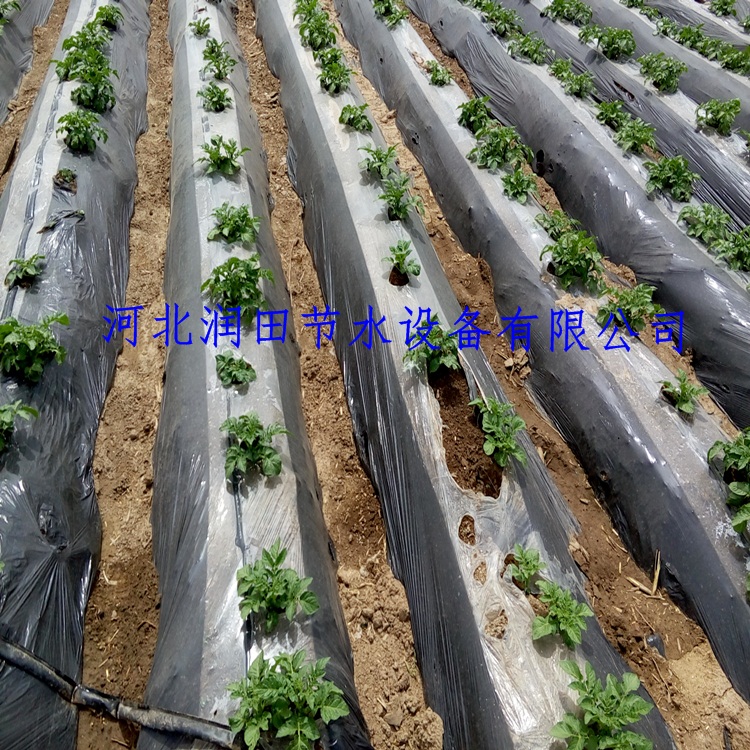 蔬菜滴灌及使用方法