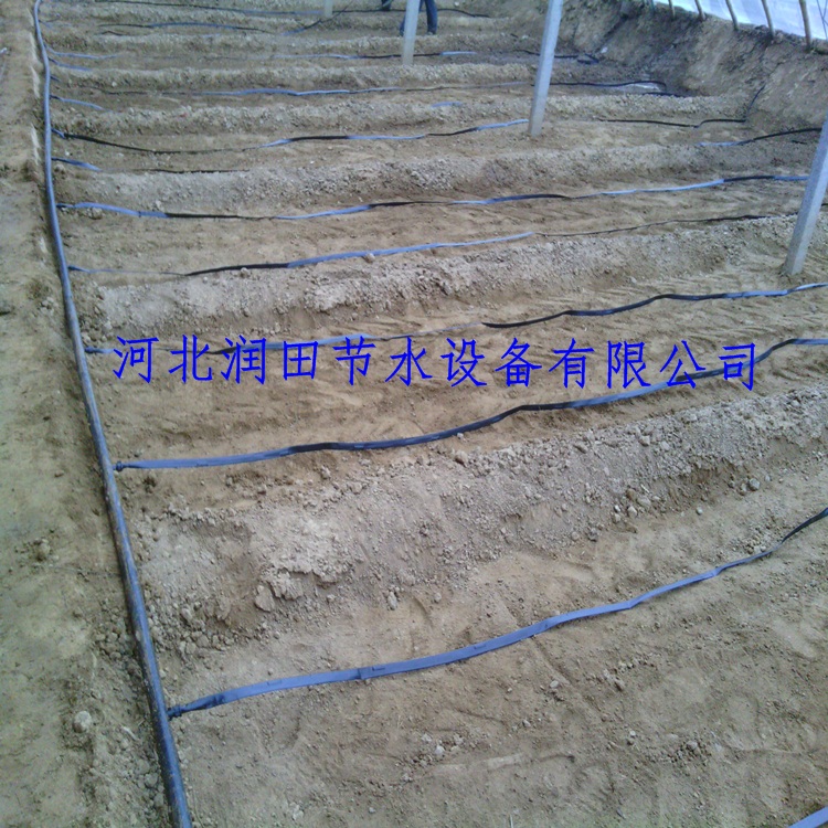 黄瓜灌溉滴灌带石家庄大棚滴灌
