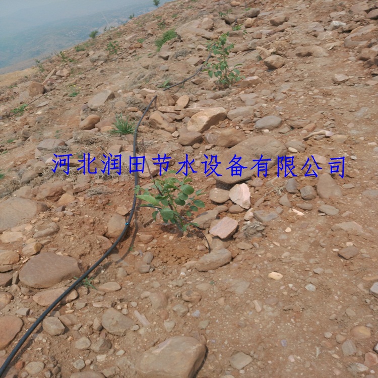 果园灌溉小管出流果树滴灌