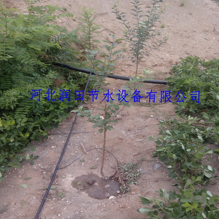 果园灌溉滴灌带石家庄果树滴灌