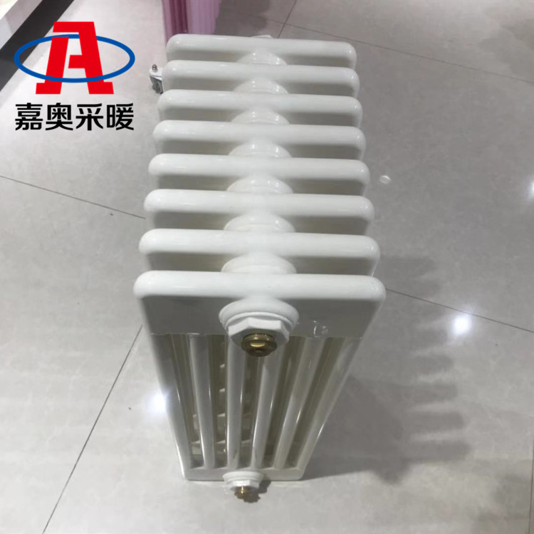 qfgz606钢六柱散热器高清图片-嘉奥散热器