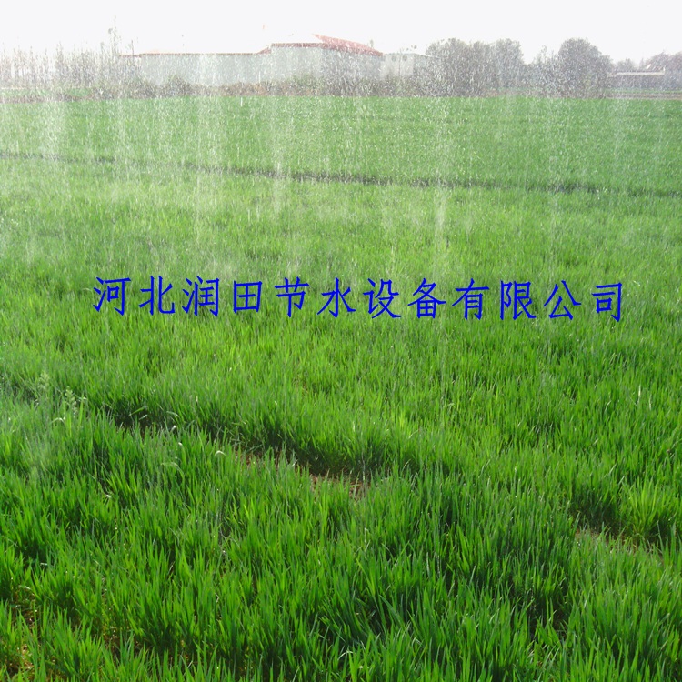 节水灌溉微喷带石家庄农用水带