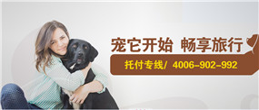 广东省哪里有卖得好的空运宠物，宠物入境厂家现货配件