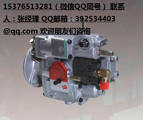 K2022-300KW(常闭)发动机PT燃油泵总成3347539