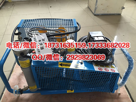 呼吸器气瓶充气泵机正压式消防空气填充泵空气压缩机