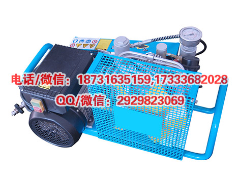 MCH-6/ET/EM呼吸器气瓶充气泵机呼吸器气瓶填充泵