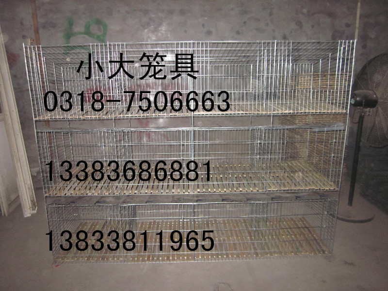 卖鸡笼 狗笼 鸽子笼 兔子笼 鹌鹑笼 宠物笼 鹧鸪笼 运输笼