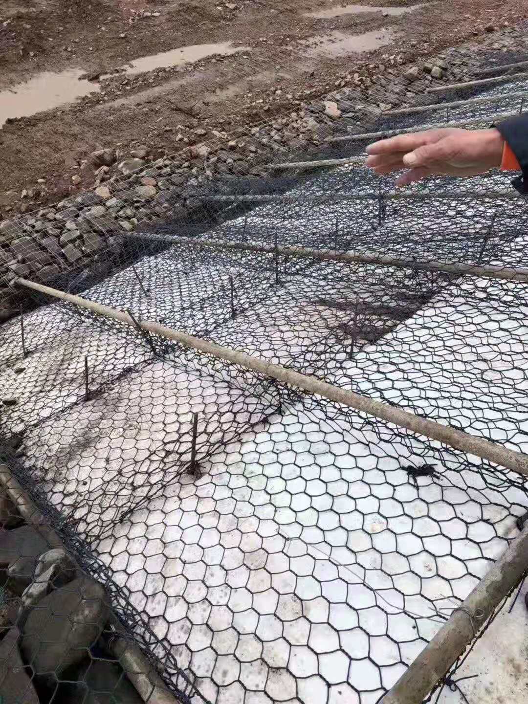 护堤护坡生态格宾网6*8水利改造覆塑格宾网垫
