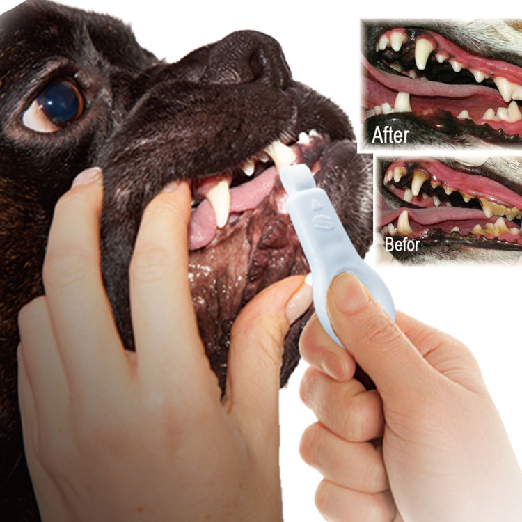新型宠物用品 狗用洁牙擦 牙齿清洁护理 宠物洁牙擦
