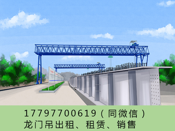福建福州龙门起重机销售厂家 龙门吊试吊