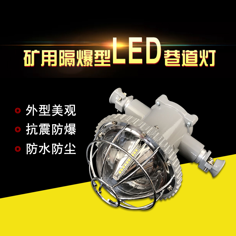 DGS12/127L矿用隔爆型LED巷道灯煤矿井下隧道照明用防爆灯12W127V