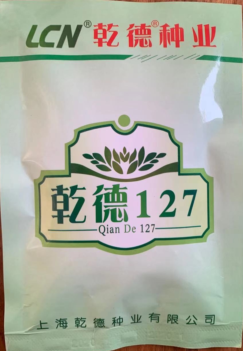 乾德127黄瓜种子苗子   产量高    商品性好  抗病性强