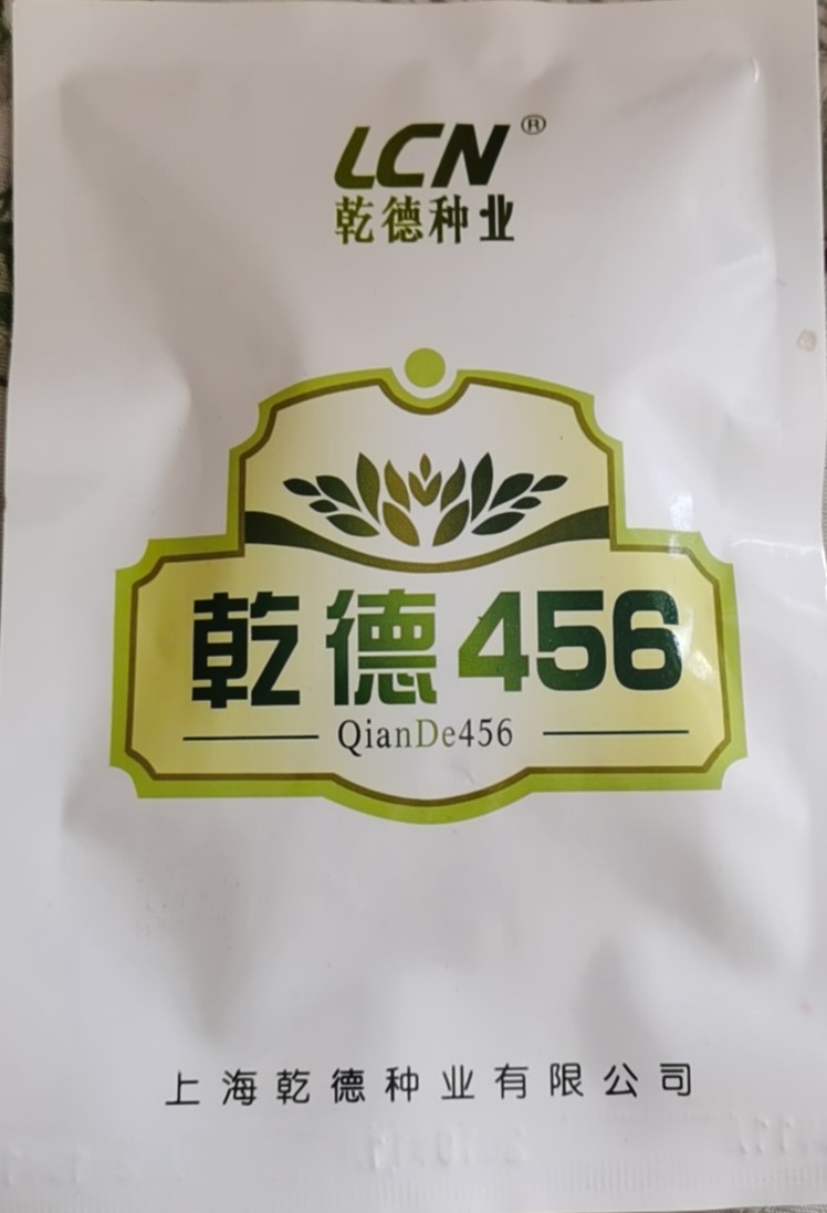 乾德456黄瓜种子  耐低温   高产