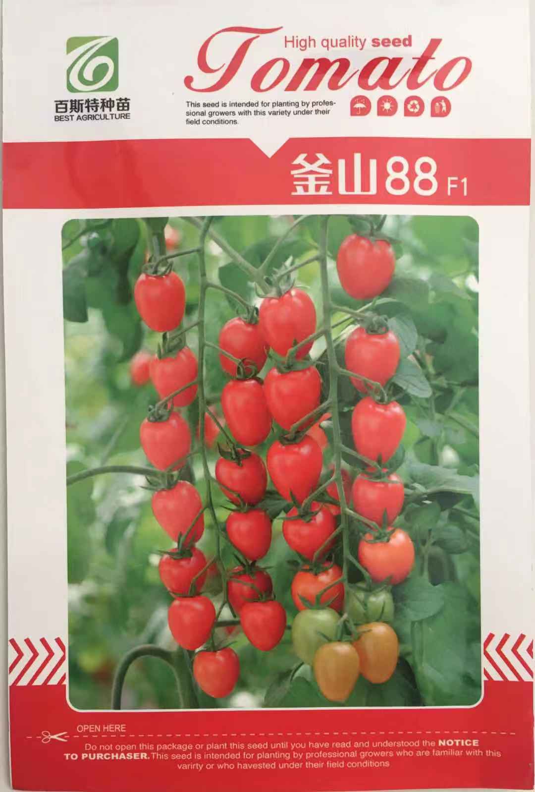 百斯特釜山88小番茄种子苗子  果实鸡心形  红果亮丽 糖度达10度左右